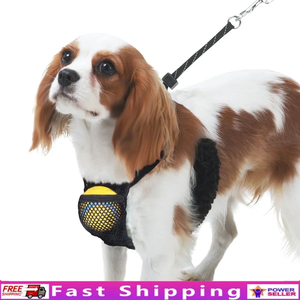 Non-Pulling Dog Harness with Storage Pouch Adjustable Reflective Lightweight Mesh Easy Step In Comfort Flex System Dogs