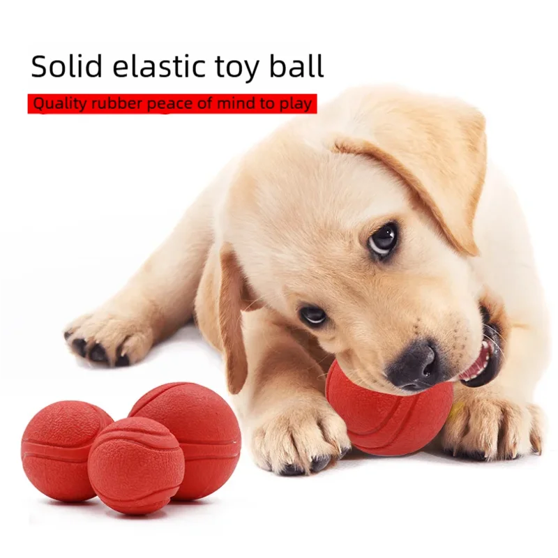 Dog Toy Chew Proof Rubber Ball Durable Bouncy Dog Toy for Puppy Teddy Pets Training Interactive Chew Resistant Molar Ball