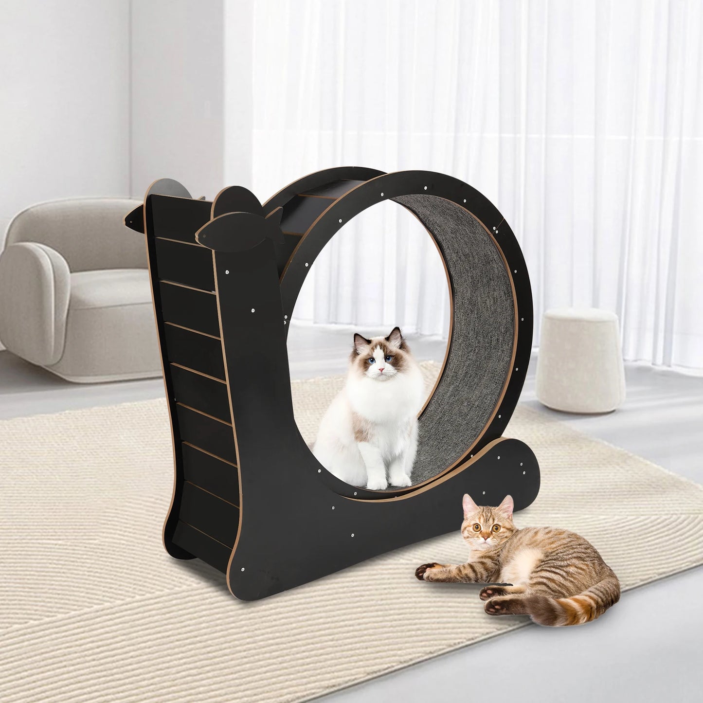 Cat Exercise Wheel, Large Cat Treadmill With Carpet Runway For Indoor Cats 43.3 * 13.4 * 40.1 Inches (Black)